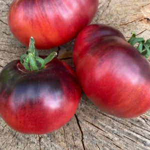 Tomate Blue wonder