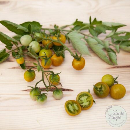 Tomate Bosque green