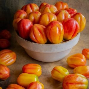 Tomate California tulip