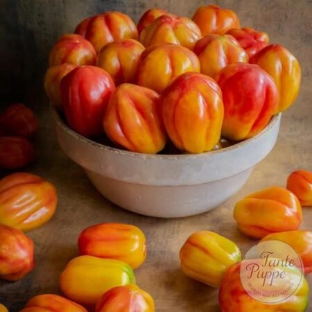 Tomate California tulip