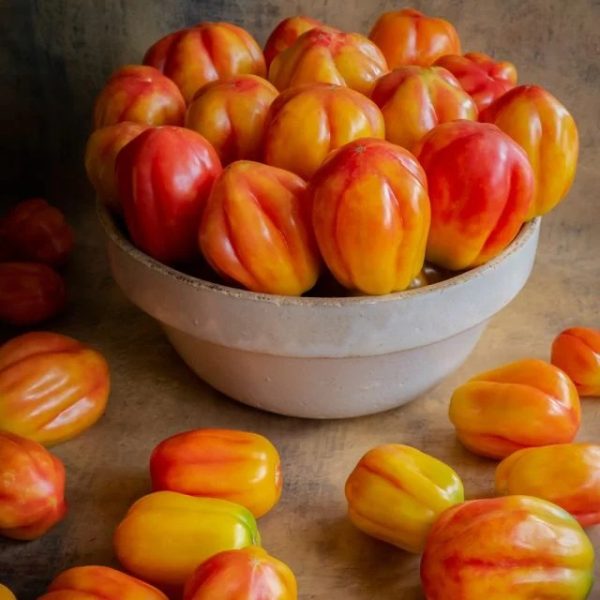 Tomate California tulip
