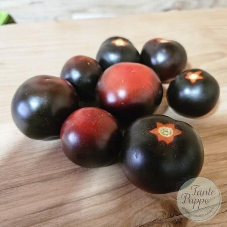 Tomate negro Cherry Big nero