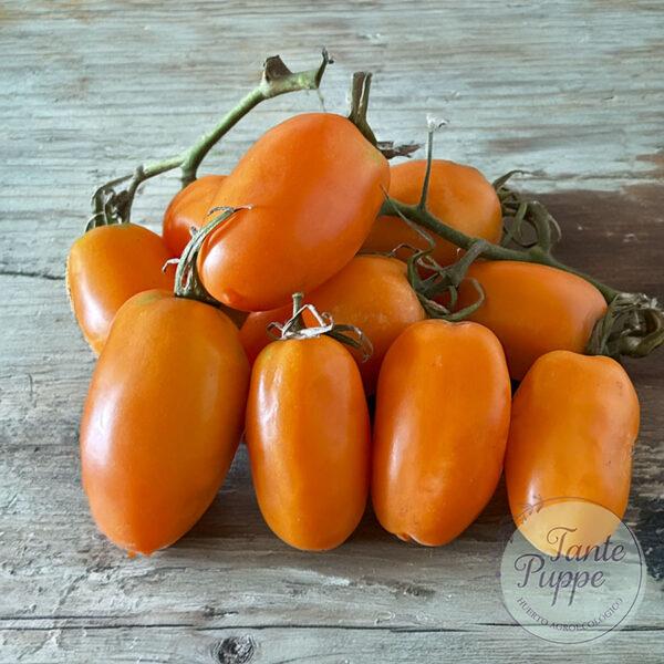 Tomate Icicle Tomate Icicle