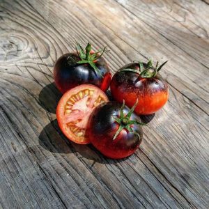 Tomate Cosmos