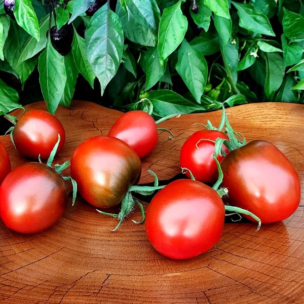 Tomate Cuore nero piccolo