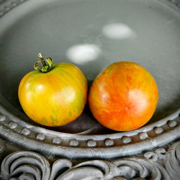 Tomate Dark sunset
