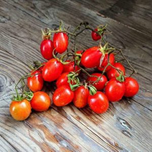 Tomate Dwarf geranium kiss multiflora