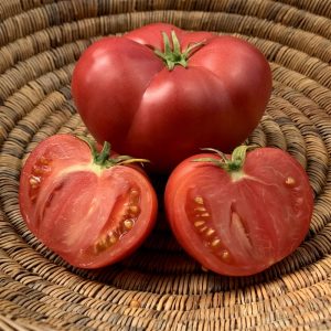 Tomate German pink