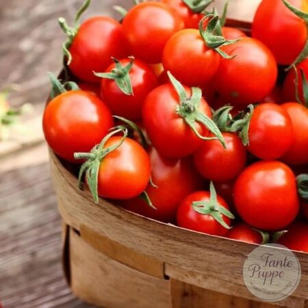 Tomate Gnocci