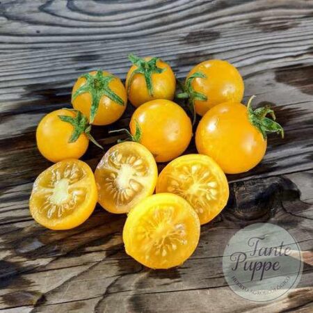 Tomate Hartman´s yellow gooseberry