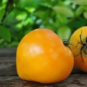 Tomate heart of Ashgabat
