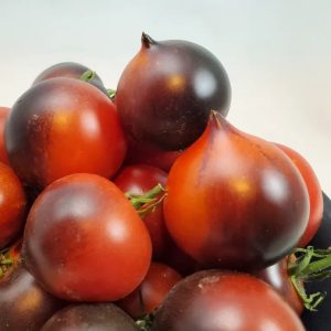 Tomate Heaven oregon