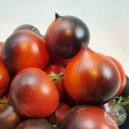 Tomate Heaven oregon