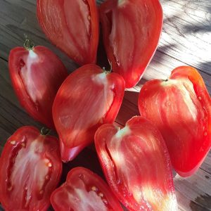 Tomate Korean long
