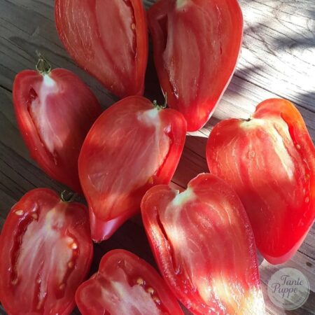 Tomate Korean long