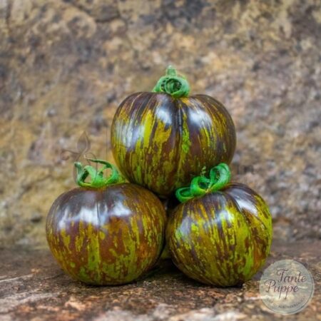 Tomate Kryptonite