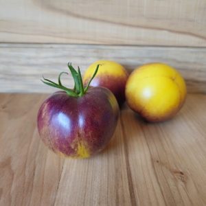 Tomate Little fuzzy blue balls