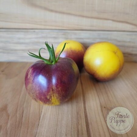 Tomate Little fuzzy blue balls