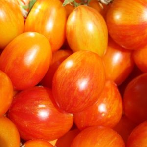 Tomate Lufichoise