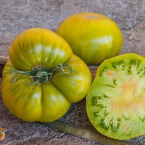 Tomate Malakhitovaya shkatulka