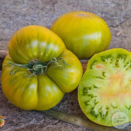 Tomate Malakhitovaya shkatulka