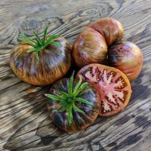 Tomate Marshas Starfighter