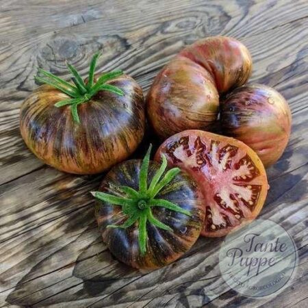 Tomate Marshas Starfighter