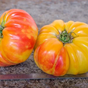 Tomate Natural riddle