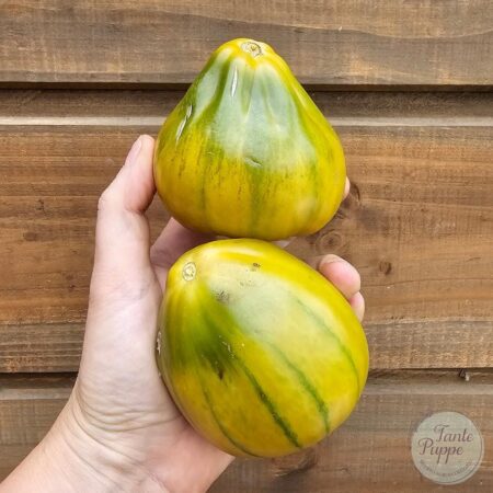 Tomate Ochia pear