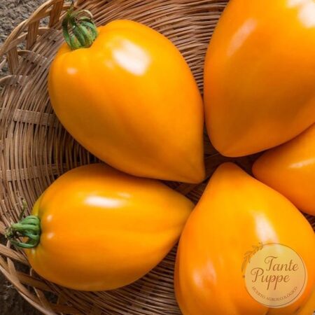 Tomate Orange strawberry