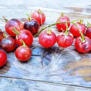 Tomate Painted pink