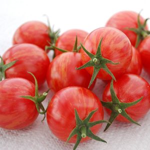 Tomate Pink bumblebee