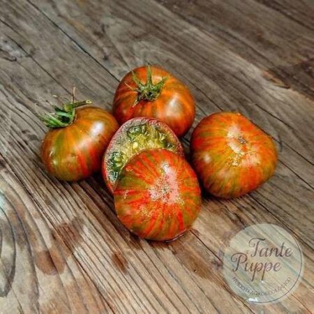 Tomate Pit viper