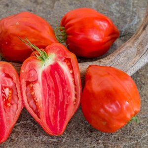 Tomate Cuore antico di aqcui terme