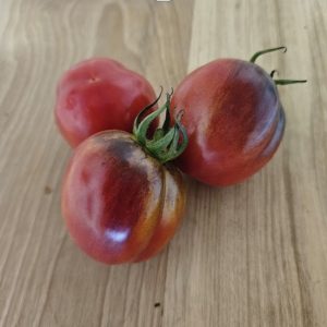 Tomate Princess