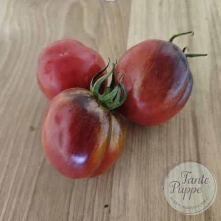Tomate Princess