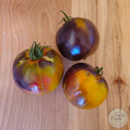 Tomate Rainbow