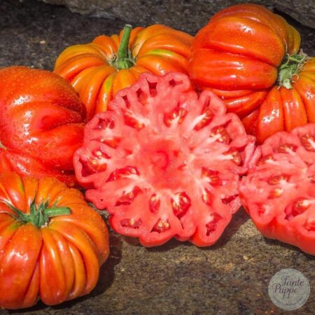Tomate Riccio di parma