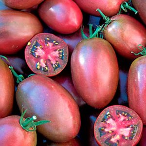 Tomate Rosado chilote pera