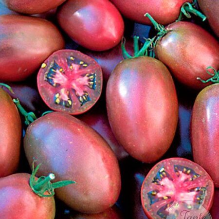 Tomate Rosado chilote pera