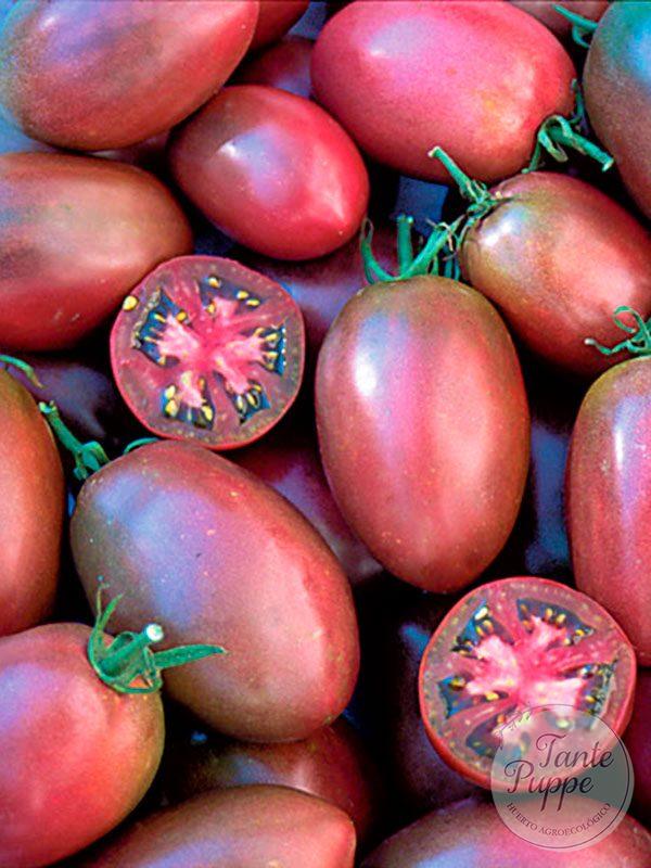 t rosado chilote pera t rosado chilote pera