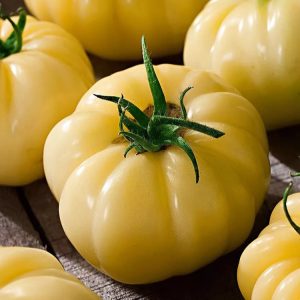 Tomate Sutton