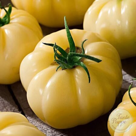 Tomate Sutton