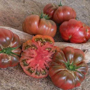 Tomate Tims black ruffled