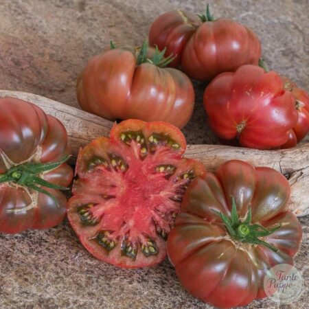 Tomate Tims black ruffled