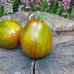 Tomate Victoria smile