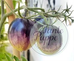 t white purple t white purple