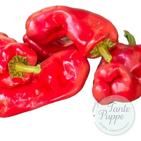 Pimiento Trontarolo