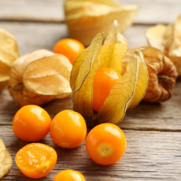 Physalis (Goldenberry