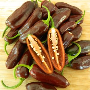 Ají jalapeño brown